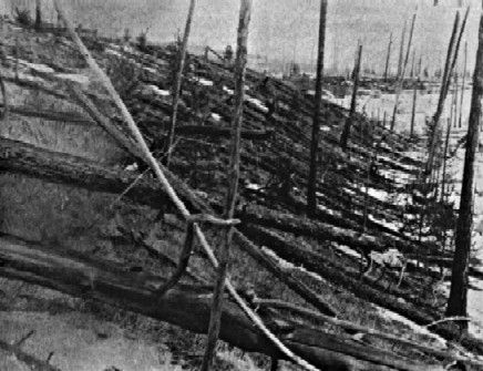 Foto del 1927 degli alberi di Tunguska 